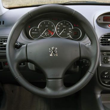 deri döşeme Peugeot 206